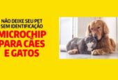 Clínica Veterinária Apaixonados Por Quatro Patas Cacuia