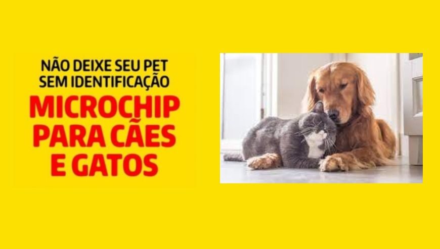 Clínica Veterinária Apaixonados Por Quatro Patas Cacuia