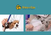 Vida de Cão Hospital Veterinário 24h