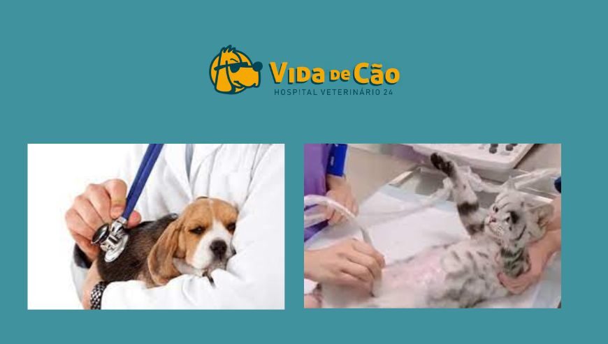 Vida de Cão Hospital Veterinário 24h